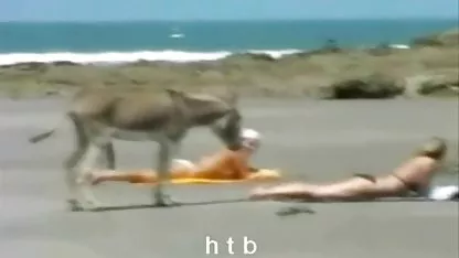 دکتر شسته عکس لب تو لب سکسی می شود